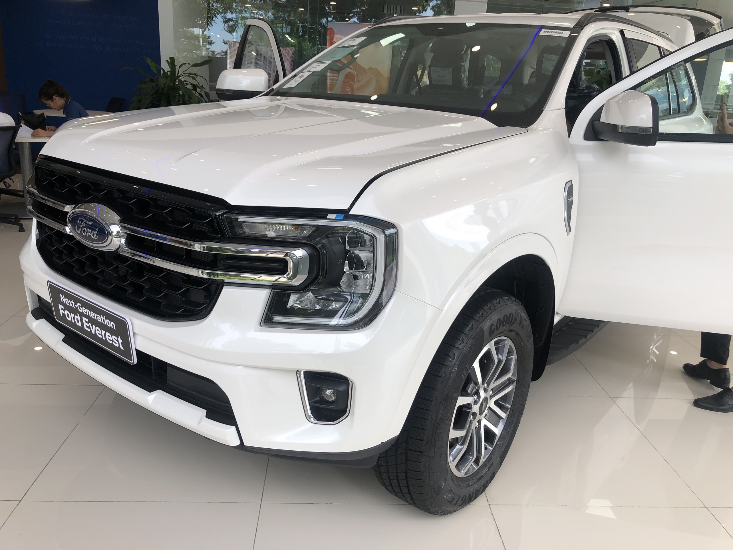 Ford Everest Ambiente 20233