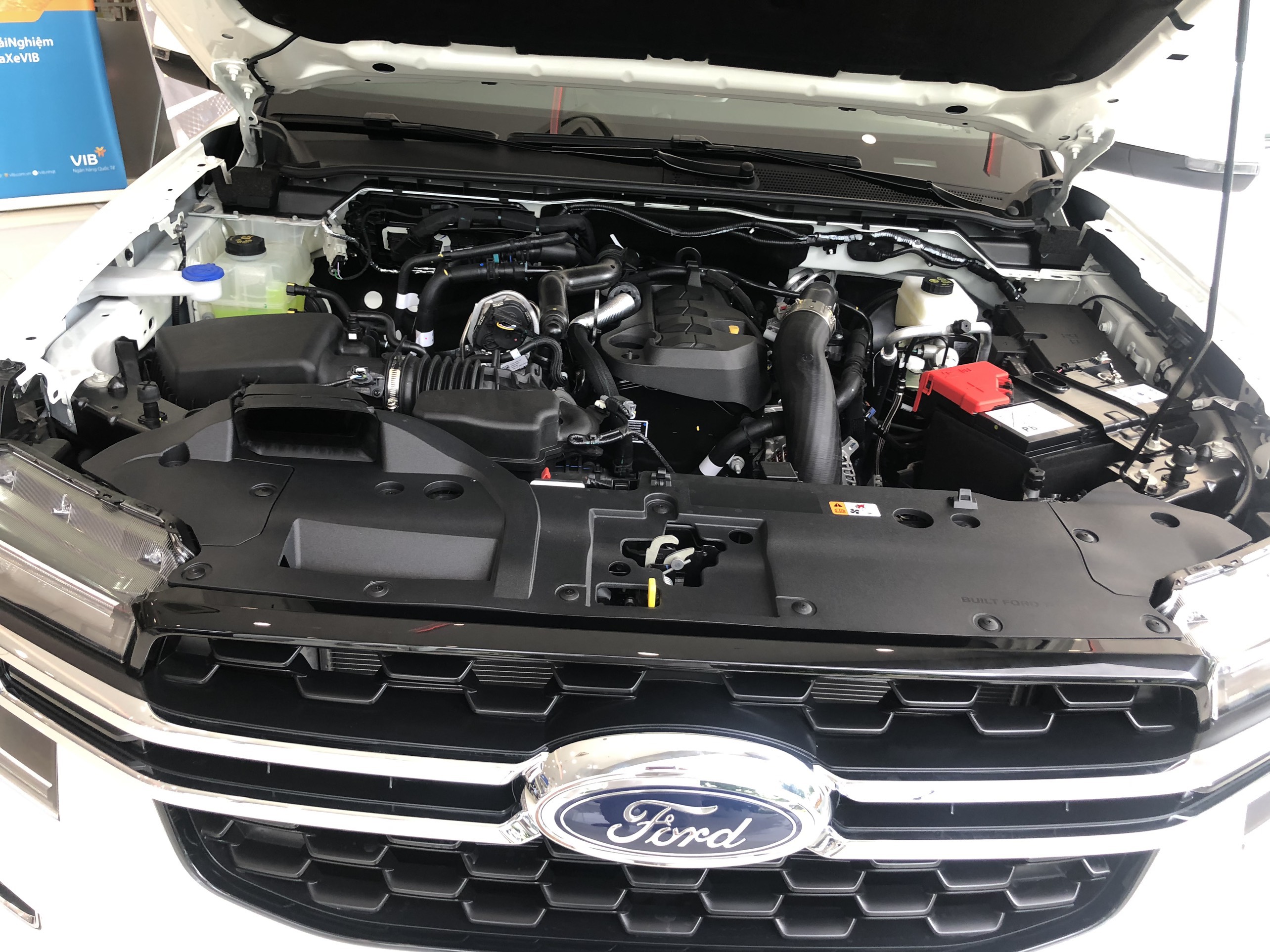 Ford Everest Ambiente 20247